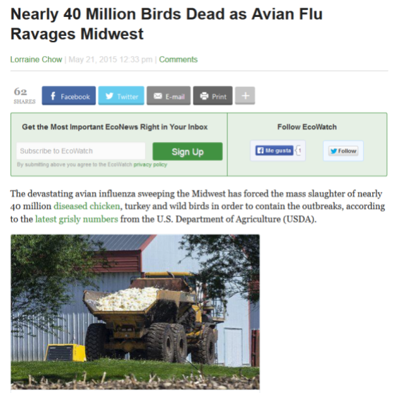 bird flu eeuu