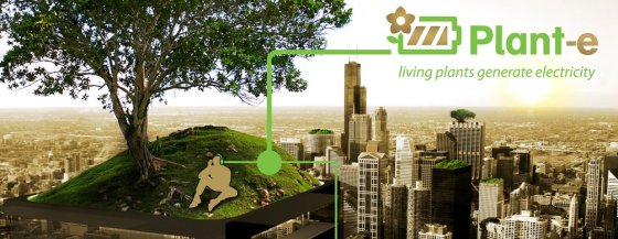 Esperanza para el futuro: Energía de las plantas D2076ca6a4-green-electricity-roof-visual-6