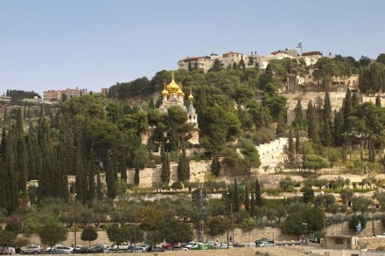 Garden-of-Gethsemane