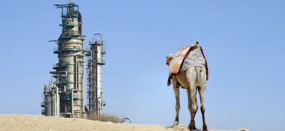 oil-refinery-camel-saudi-arabia-560x257