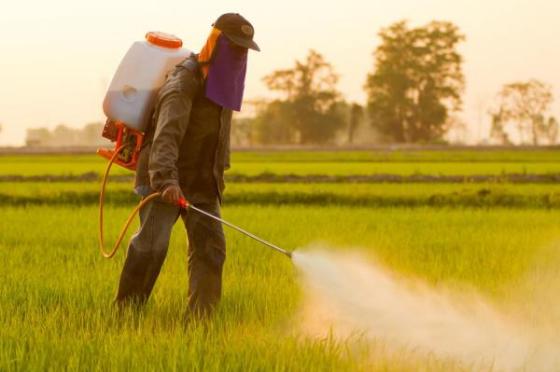 EU-agency-Weedkiller-glyphosate-unlikely-to-cause-cancer